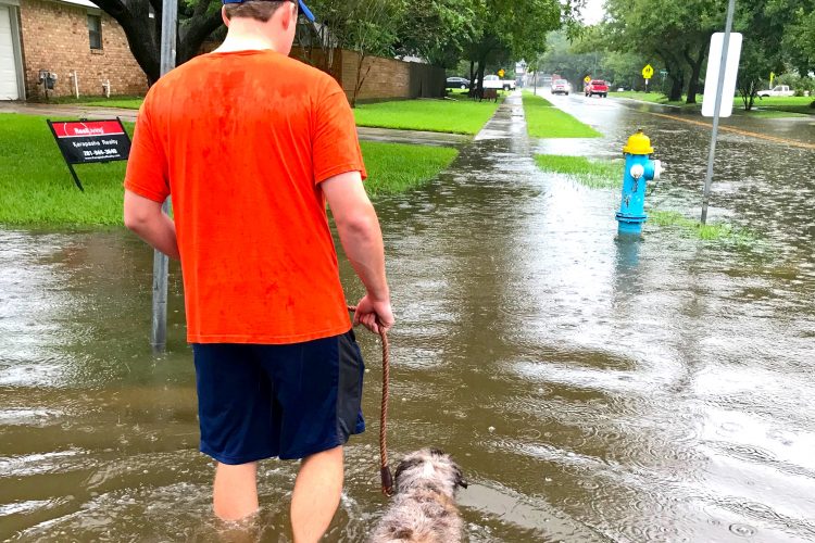 Hurricane Harvey: How you can help